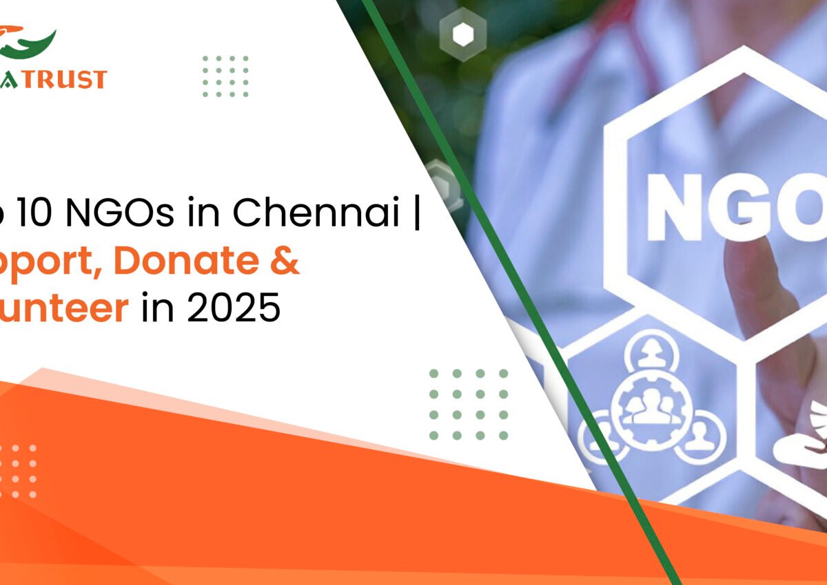 Top NGOs in Chennai