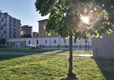 view-building-with-trees-foreground