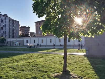 view-building-with-trees-foreground